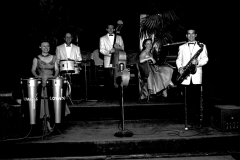 Honey Hudgen\'s Combo on stage