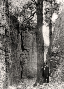 Unidentified man posing for the camera, Photo by Lee McBirney, c 1940