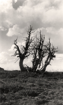 Pirate Ship, Photo by Lee McBirney, c 1940
