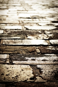 Path to the Past by Shannon Hall