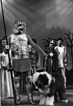 camelot-photo-7-75-3-sm
