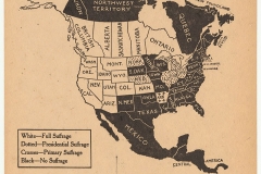Suffrage Progress, 1917